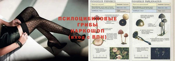 спайс Новодвинск