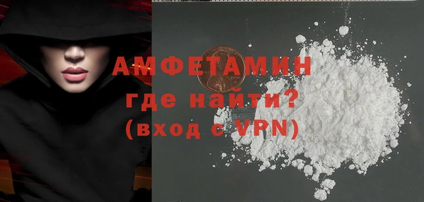 гашик Няндома