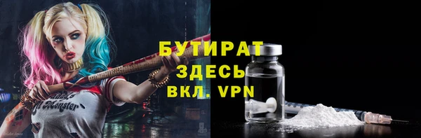 гашик Няндома