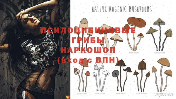 гашик Няндома