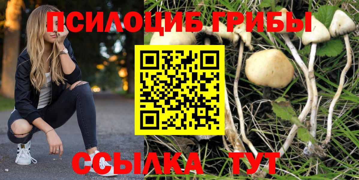 Норильск  Псилоцибиновые грибы мухоморы  Галлюциногенные грибы мухоморы  Вход с VPN 